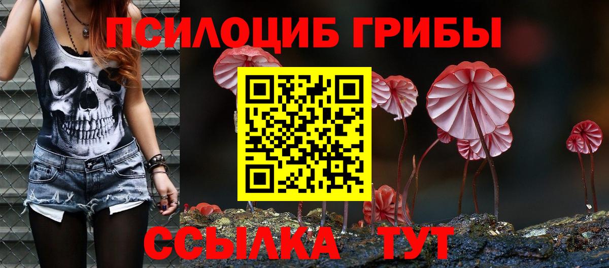 Псилоцибиновые грибы MAGIC MUSHROOMS Михайловка