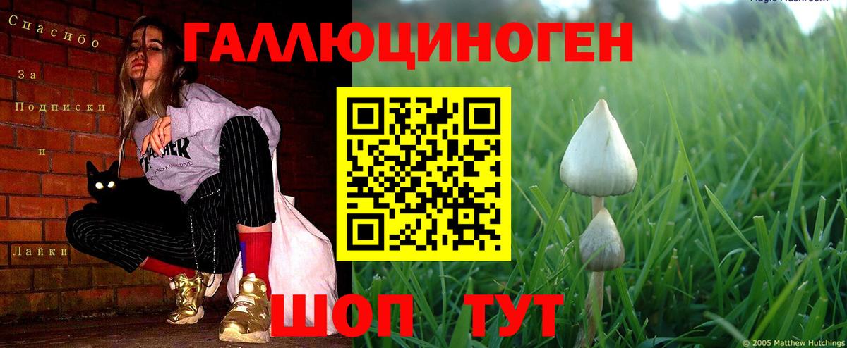 Галлюциногенные грибы прущие грибы  Псилоцибиновые грибы MAGIC MUSHROOMS  Михайловка 