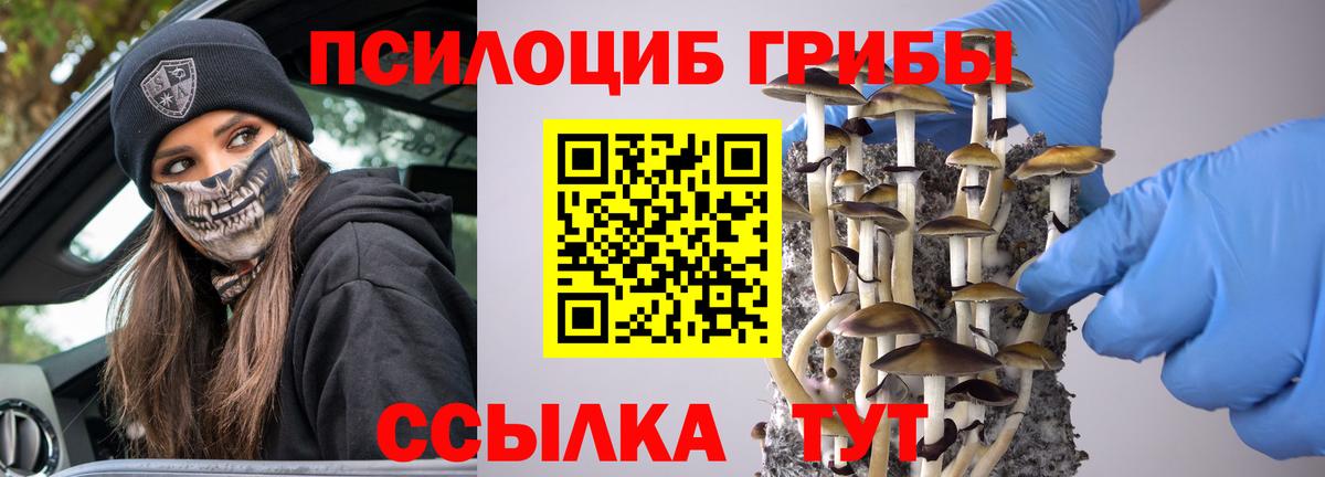 Михайловка  Галлюциногенные грибы прущие грибы  Вход с VPN 